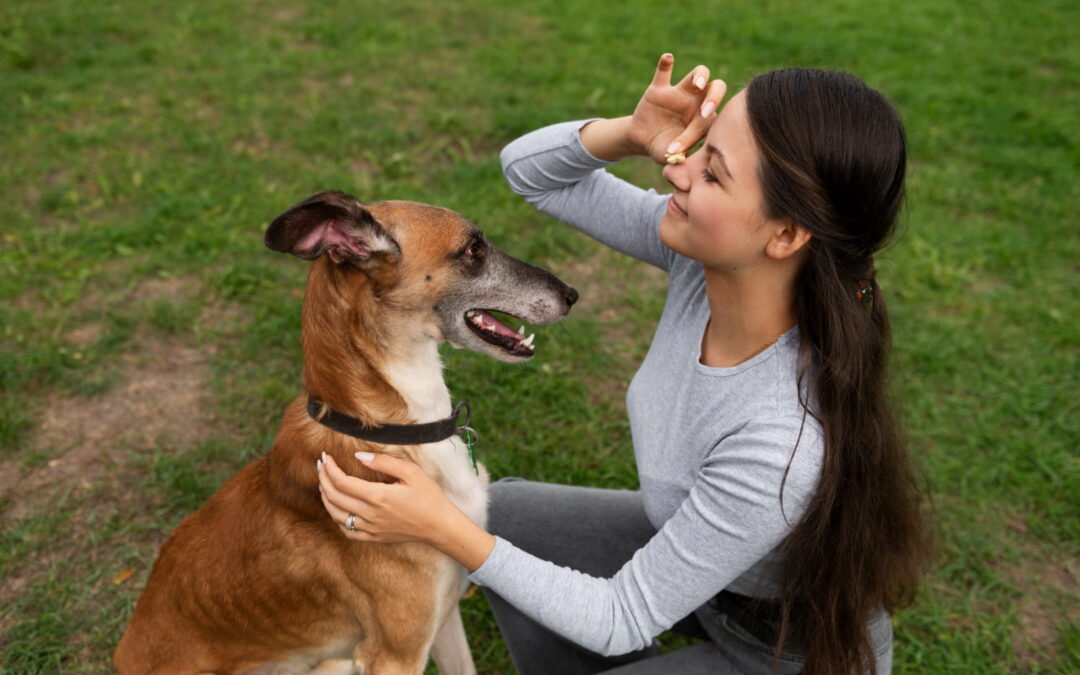 ¿Cómo resolver problemas de comportamiento en perros y mejorar la convivencia?